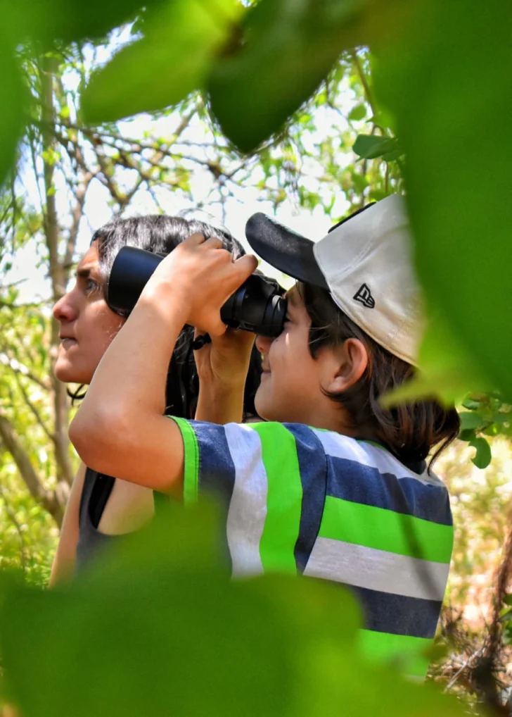 Avistaje-de-aves-en-Valle-Fertil-9-728x1018