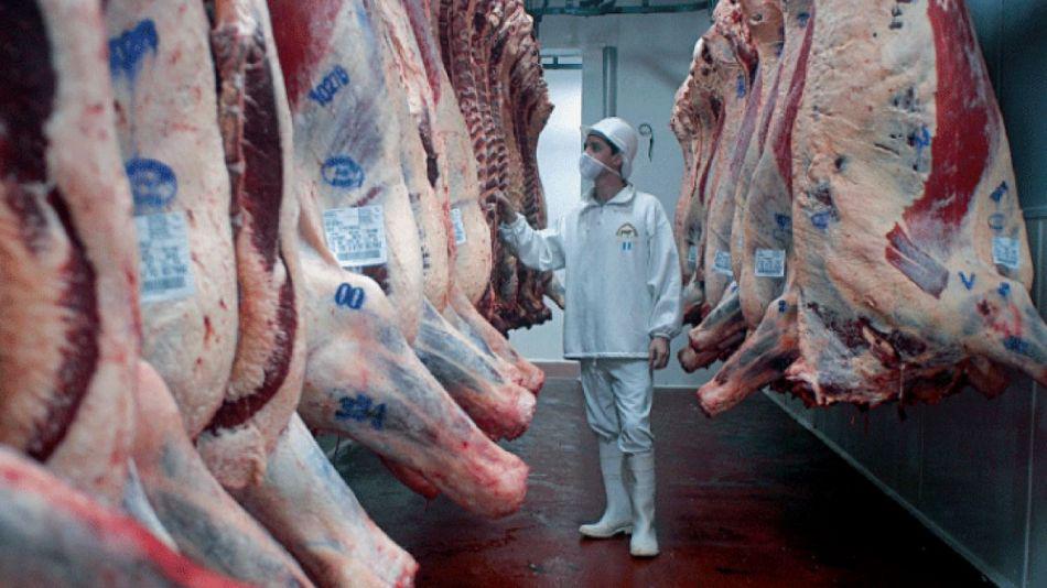 frigorifico-de-carne-vacuna-1123709