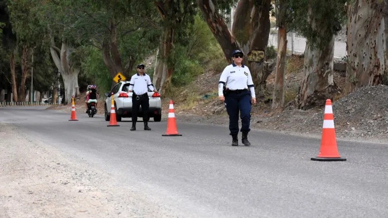 6cf453e4db0020b27c4f2c39ffe1dee0_L