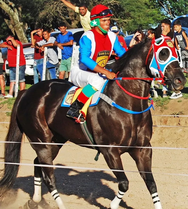 315175429_459477186272924_1955699034030973067_n