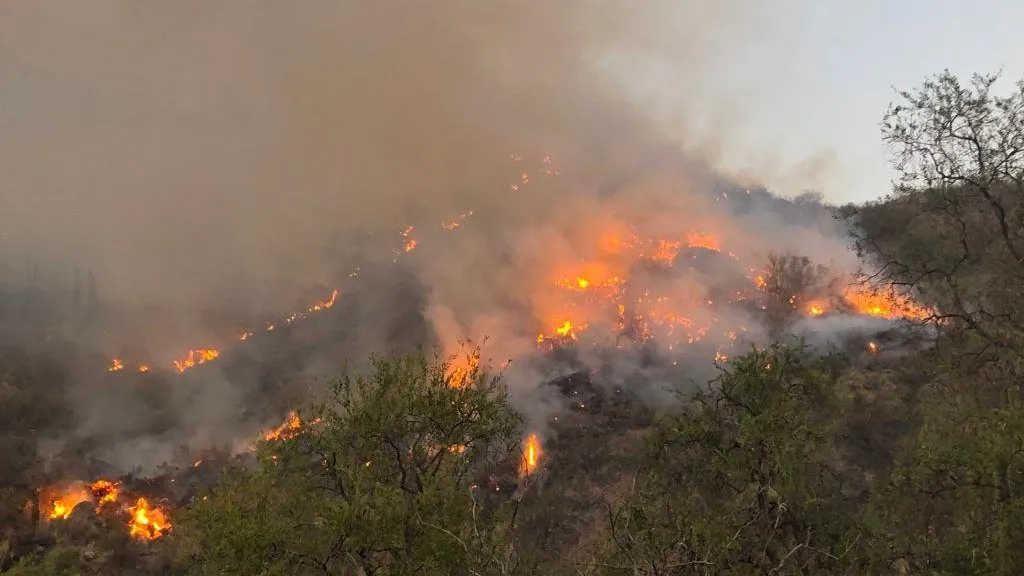 infovallefertil - incendio valle fertil