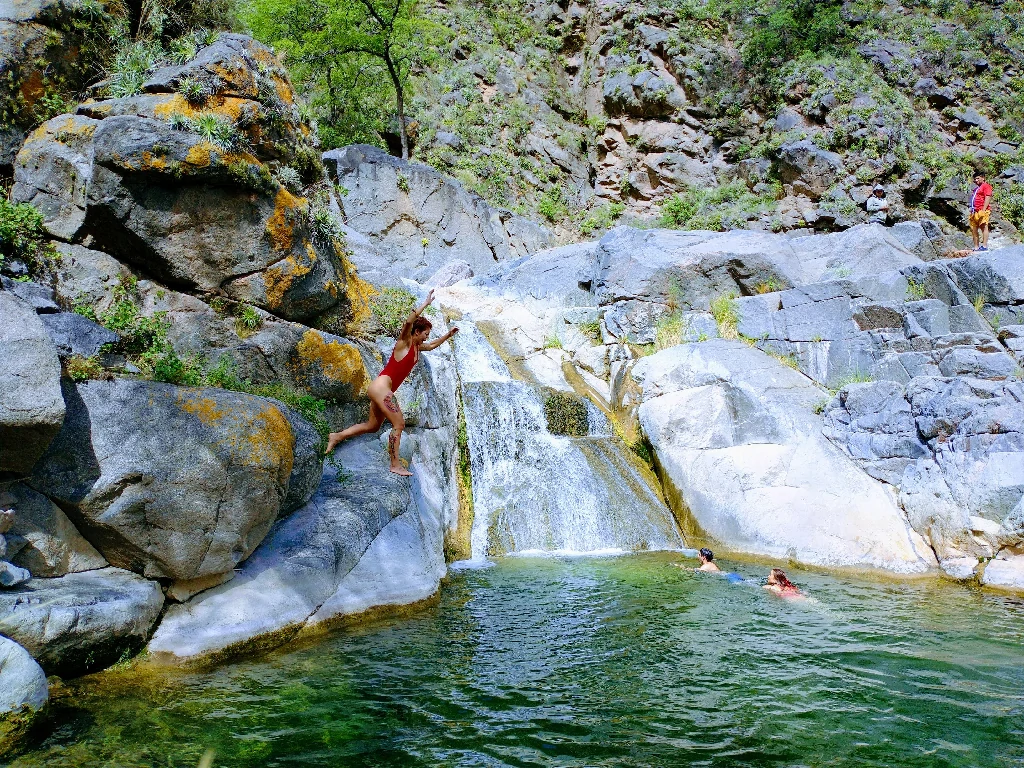 WhatsApp-Image-2025-06-11-at-11.08.13