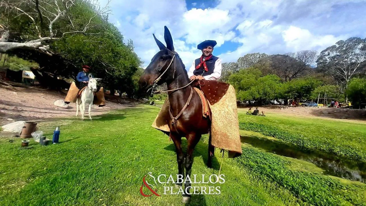 577347115_1261000479388239_5333530344776442631_n