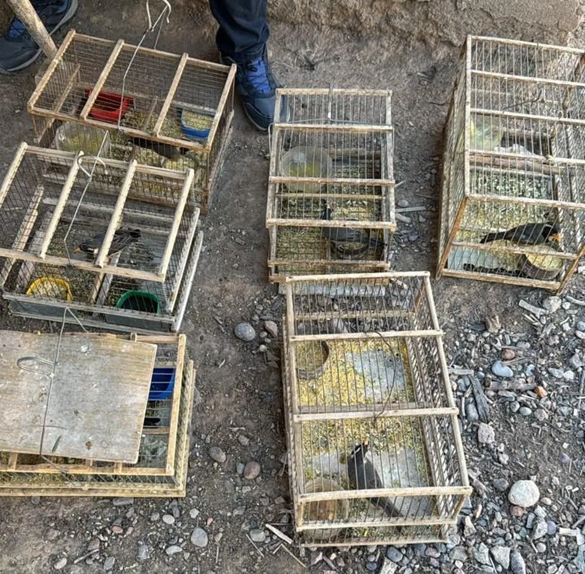 image - 2026-01-27T212858.863