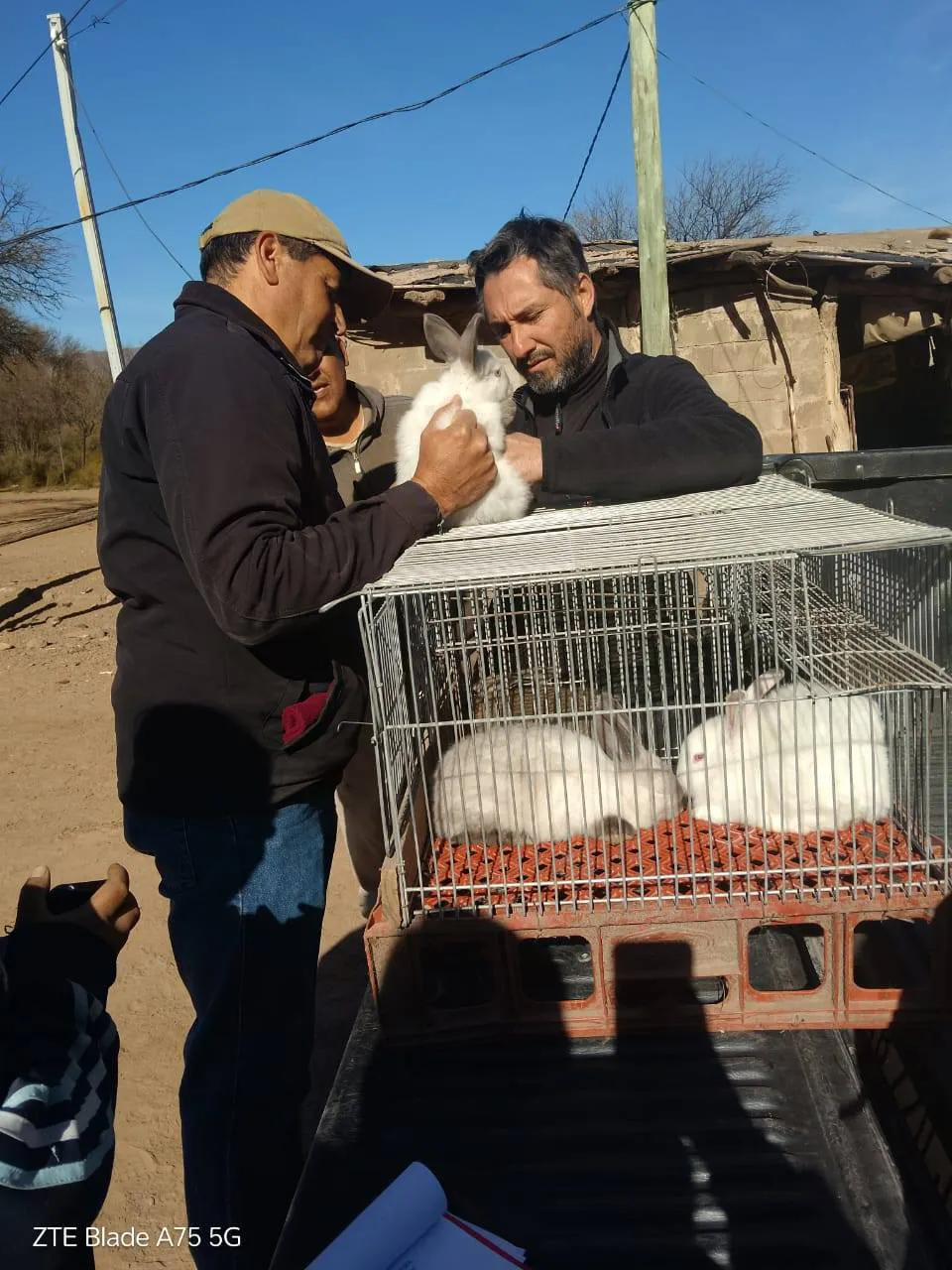 530327375_1182203643934590_966702936635145409_n