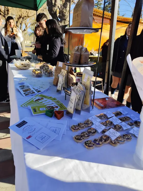 ab4848b4-a633-47d5-9ed0-45cf0806abcb