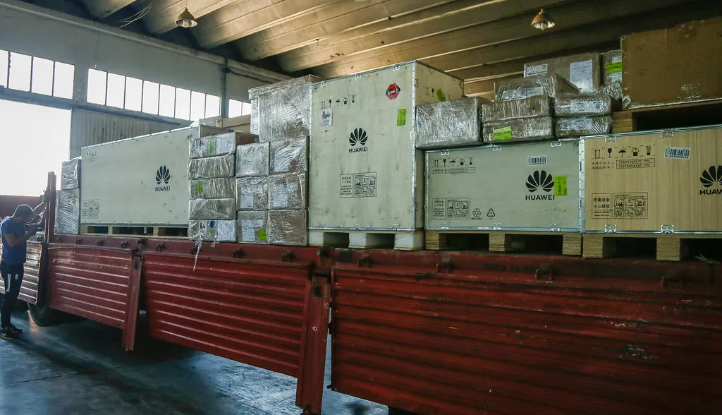 53237004825_c8db3f1f77_b