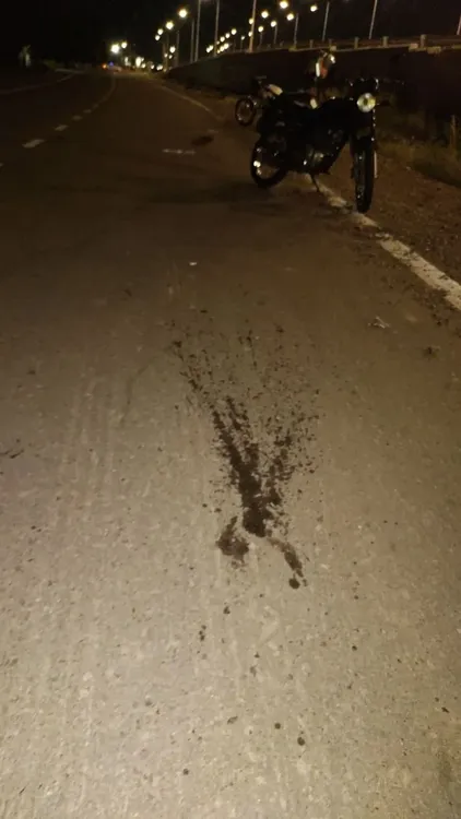 f768x1365-402734_552512_5050