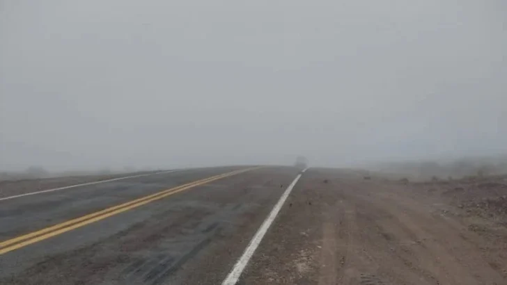 Neblina-728x410