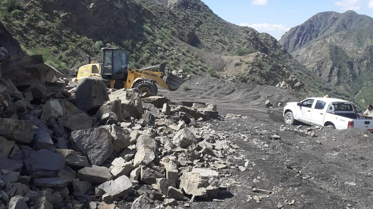 WhatsApp Image 2026-01-24 at 10.05.13