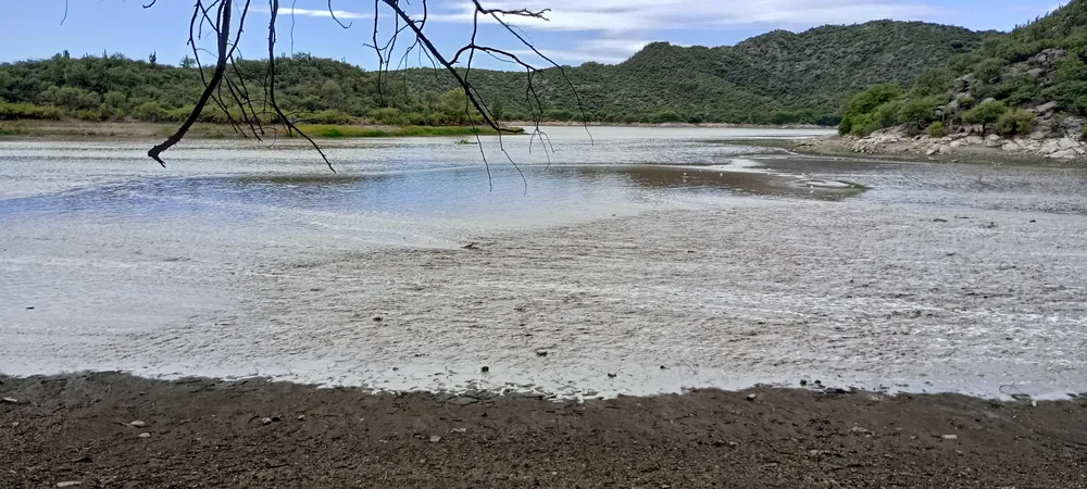 IMG_20250126_112544_HDR