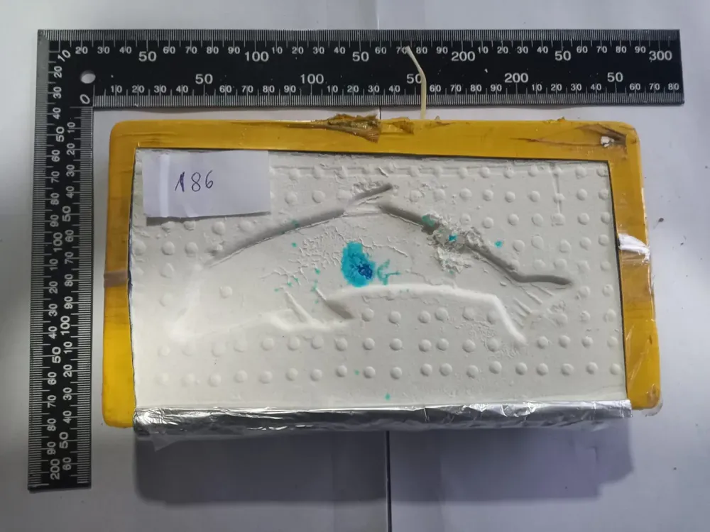 194_kilos_de_cocaina_ocultos_en_un_vehiculo_3