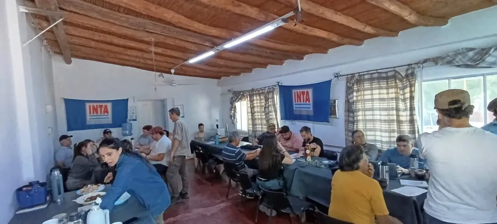 586426793_1253328916825468_4927226873098321476_n