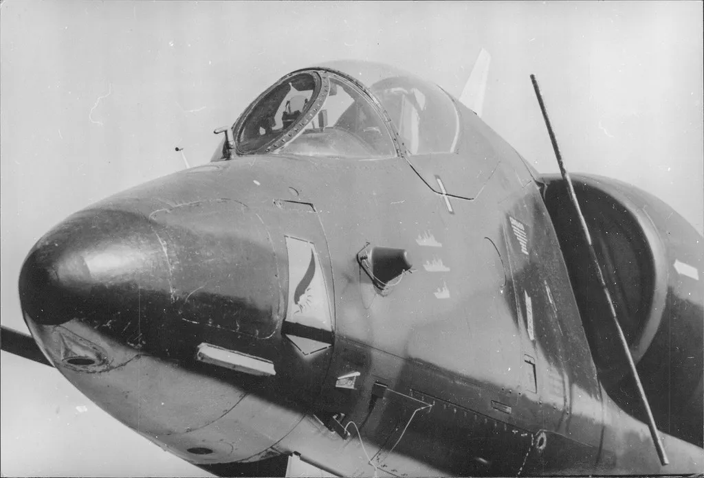 54421329747_9917ccd70d_b