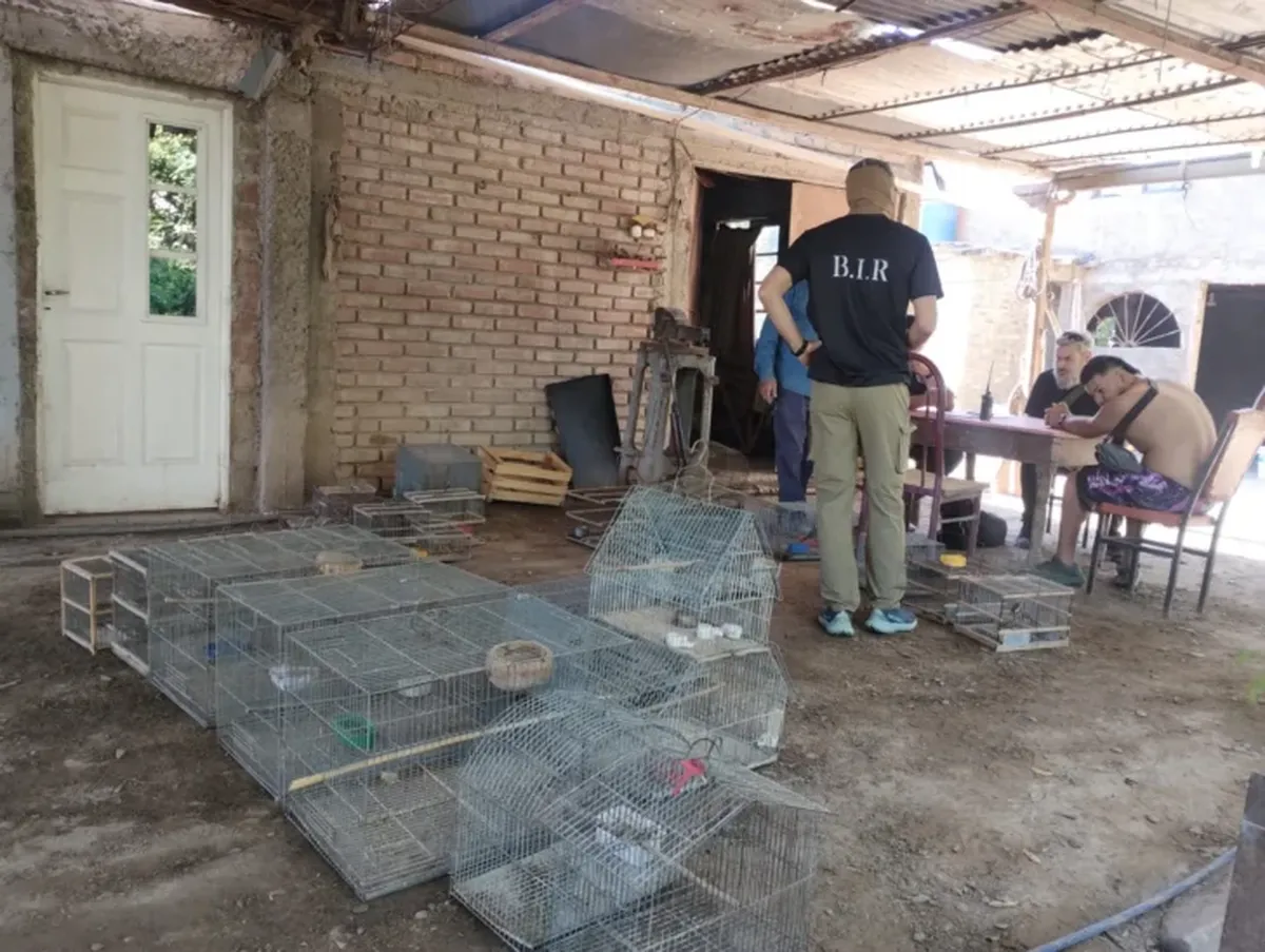 image - 2025-12-17T123023.749