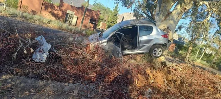 f768x345-403209_441078_5050