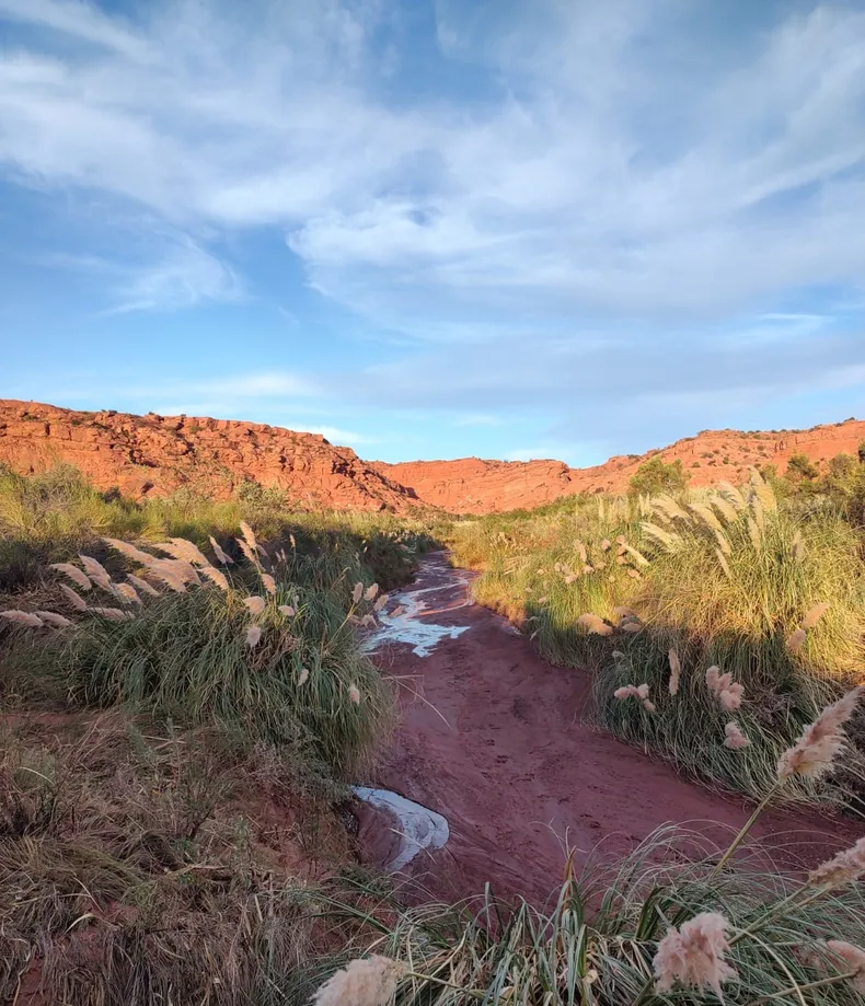 whatsapp-image-2025-03-14-at-004605-2jpeg