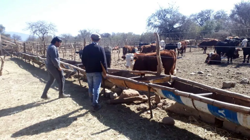 51385821887_982a7ec1fe_b