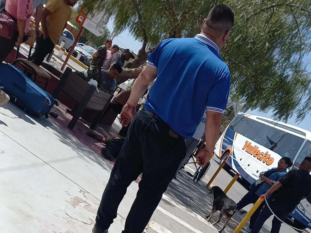 whatsapp_image_2023-10-18_at_13_10_38_crop1697650996107