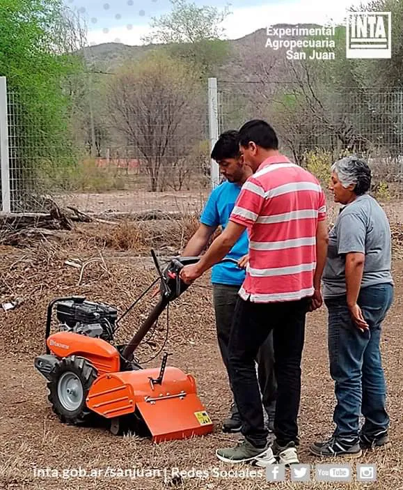 FB_IMG_1728491583575