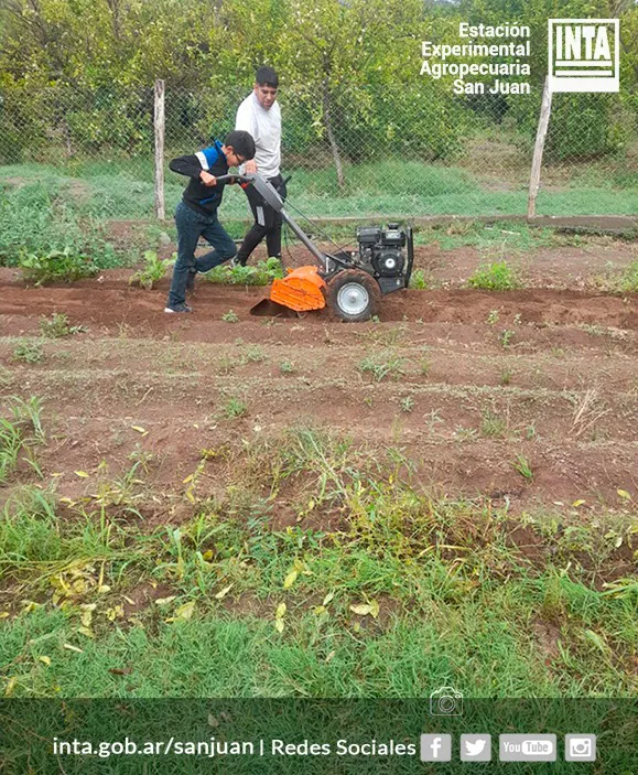 464490817_855868123401877_1453540908868047399_n