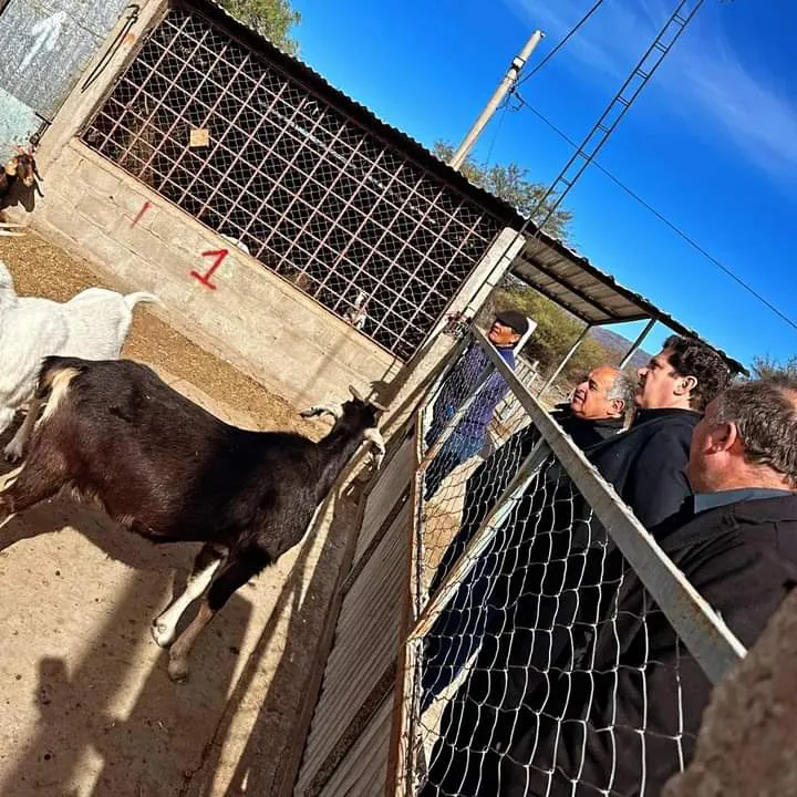 FB_IMG_1719624065798