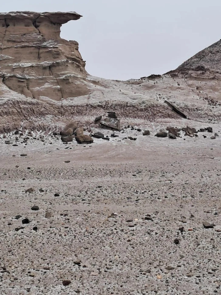 WhatsApp-Image-2025-06-29-at-17.07.47-728x971