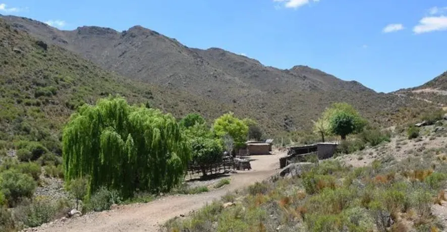 Captura-de-pantalla-2021-10-01-111210