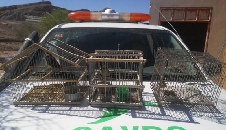 368d8c65f4df1da18284190fbf38de3a_L