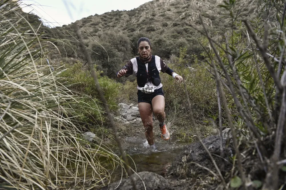 f154188e-c386-444f-945e-abdf1bc9f655