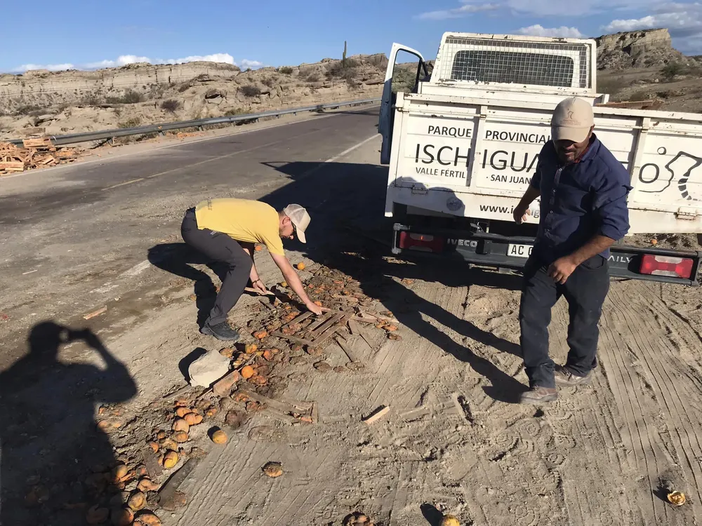 413929886_10230647341996760_1506614169742110002_n