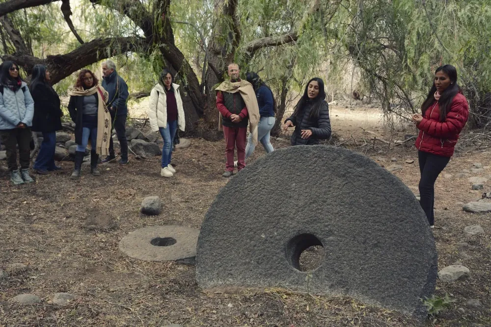 450810533_892759069545717_8850628497324961059_n