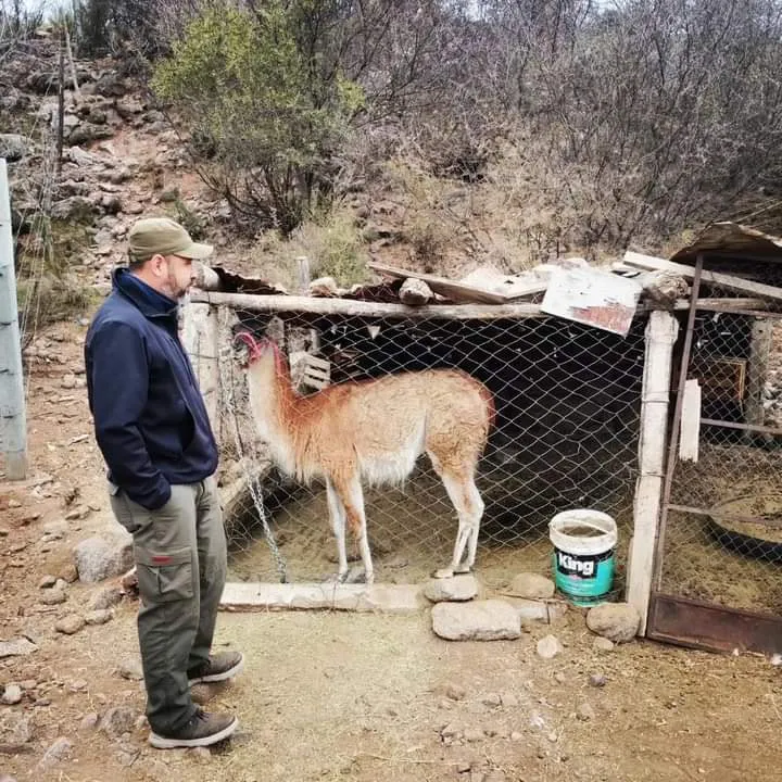 376896908_704081815100332_623107680143877999_n