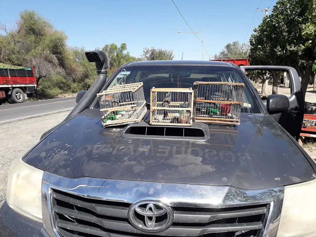 53555306276_a1e98a8e97_b