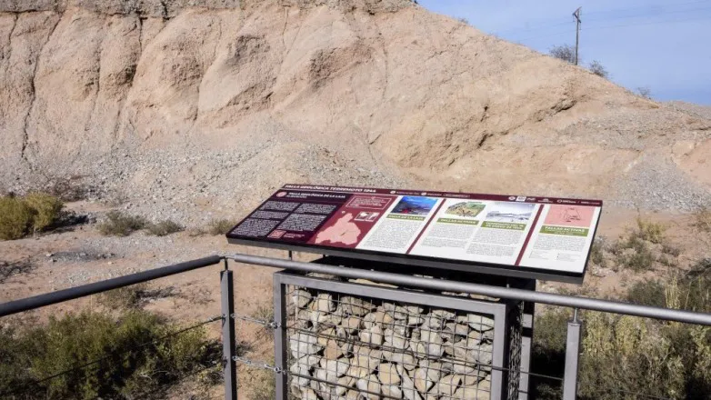 316f5c2a42fd00e19cac16b09b3aa351_L