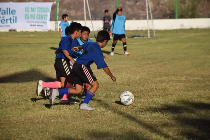 FB_IMG_1707347215572