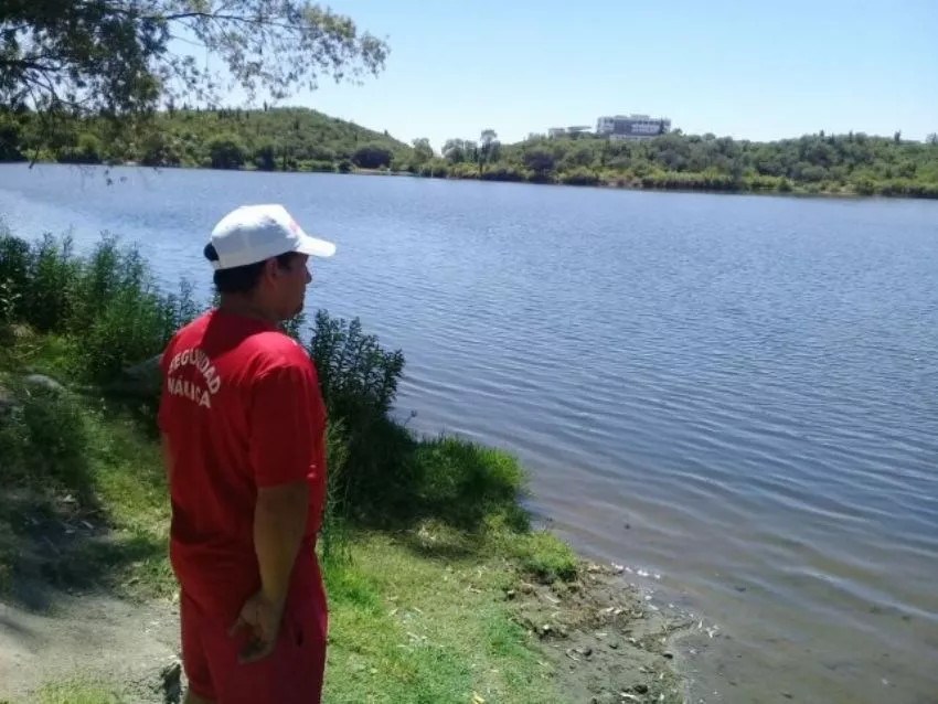 multimedia.normal.8e9c6fee4b99f99b.66383530783633382d38323332355f3135393831345f353035305f6e6f726d616c2e77656270