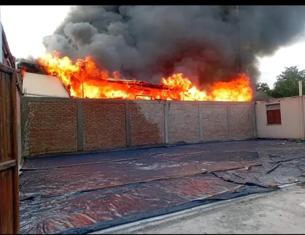 md - 2025-11-08T093713.526