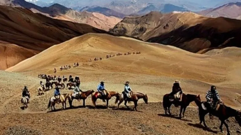 30168a646cebdf1a3ddd6fbd6c6da851_L