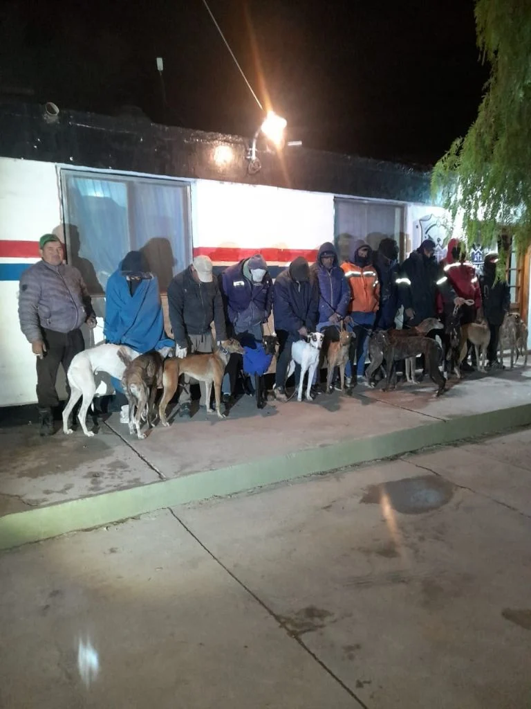 f768x1-374647_374774_5050