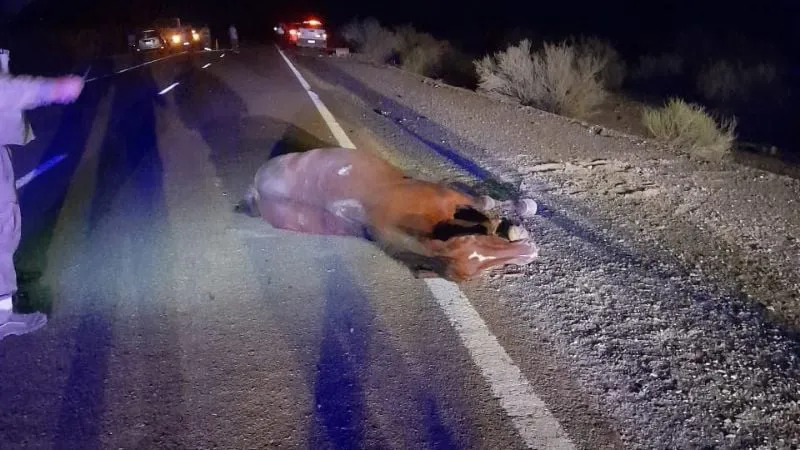 f800x450-396382_447828_5050