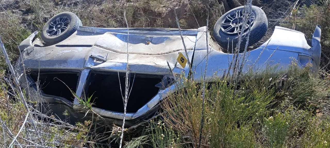 whatsapp_image_2024-04-28_at_10_31_18