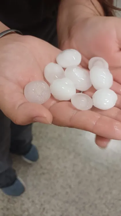 FB_IMG_1764416922597