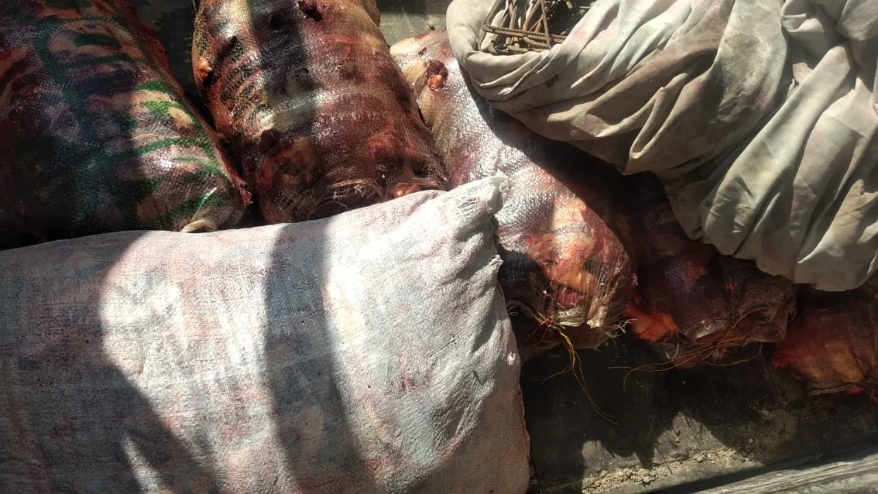 36680ec2-f92e-42c4-8471-806ccc2185fa