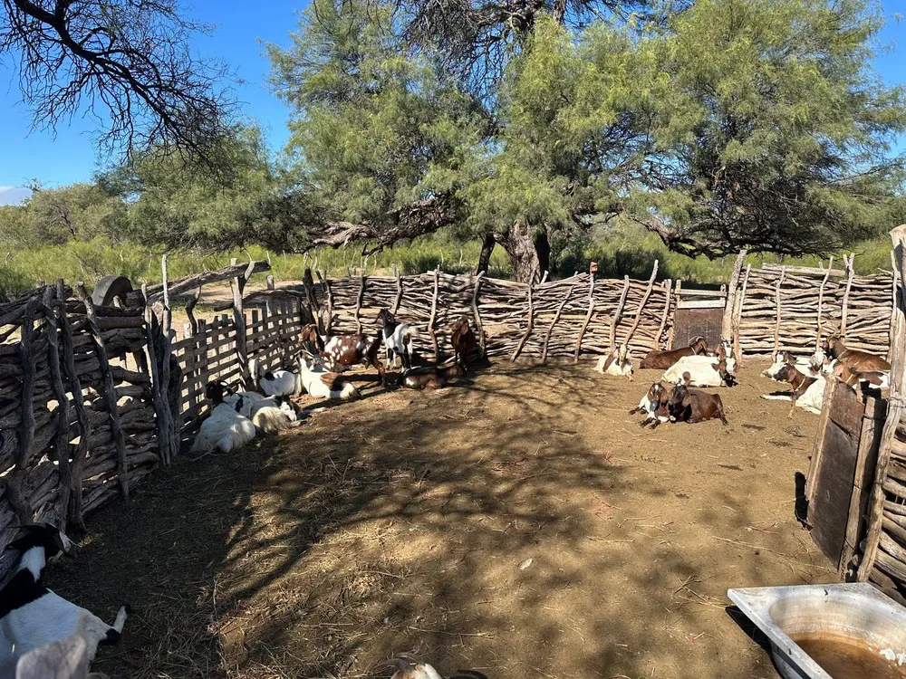 502469765_1126494249505530_1002124241351290185_n