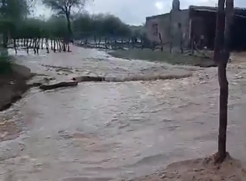 image - 2026-01-08T211333.887