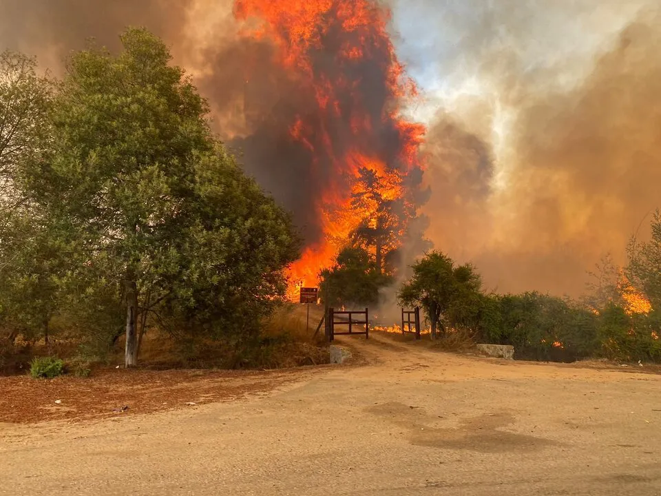 813065-incendio-20chile
