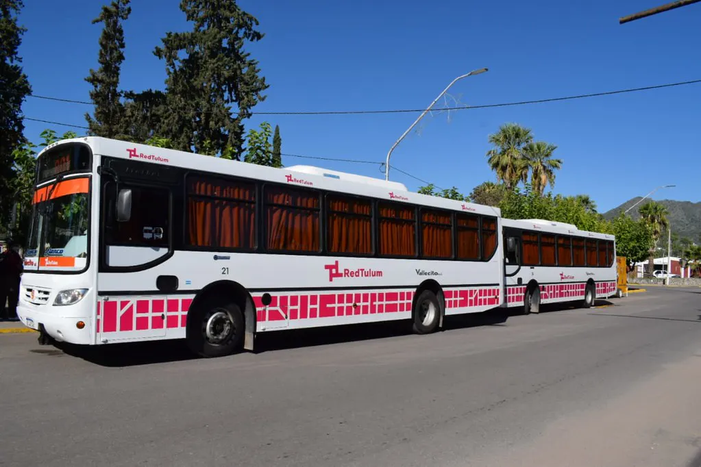 colectivos valle fertil