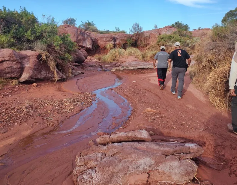 whatsapp-image-2025-03-14-at-004610jpeg