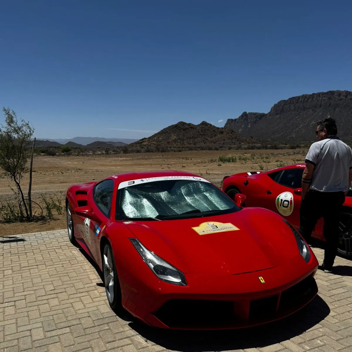 WhatsApp Image 2025-11-04 at 13.35.46